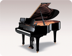 www.disklavier.com